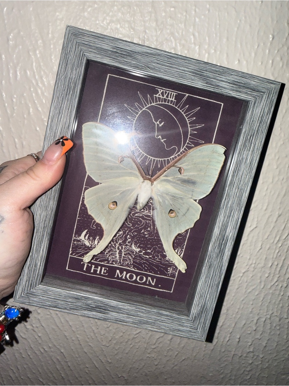 Framed Moon Tarot Art with Pale Green Luna Moth